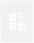 一等婚是什么意思